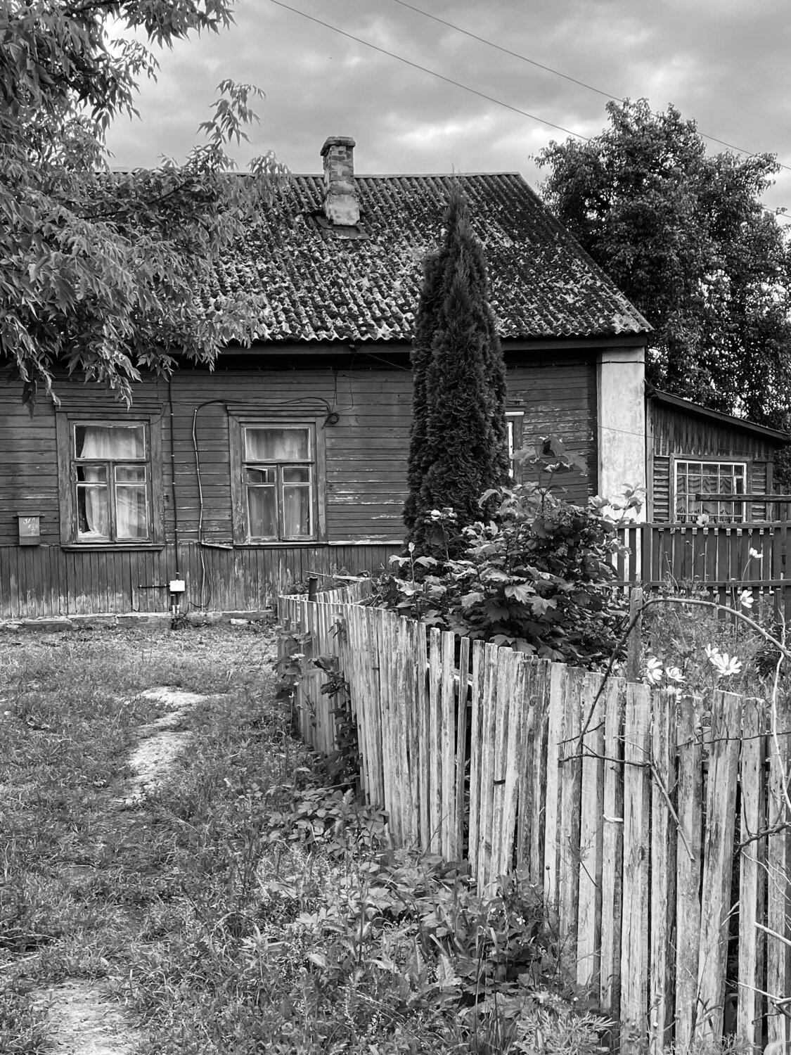 Photo #13834998