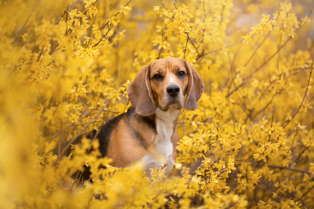 Photograph by Евгения Костусева