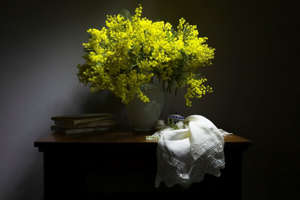 Photograph by Fabrizia Bibi