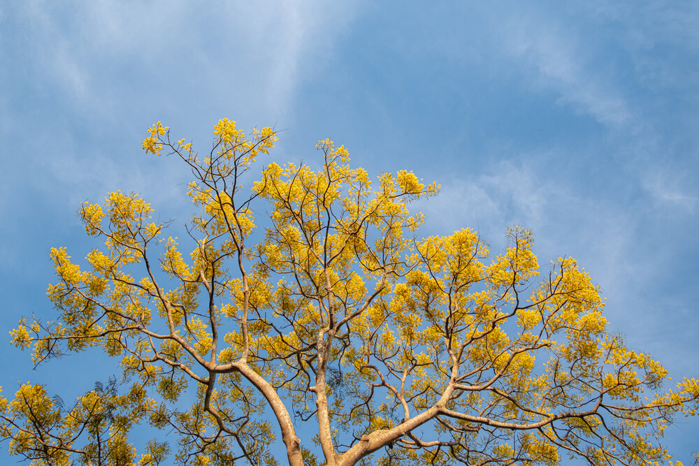 Photograph by Bùi Ngọc Hiếu