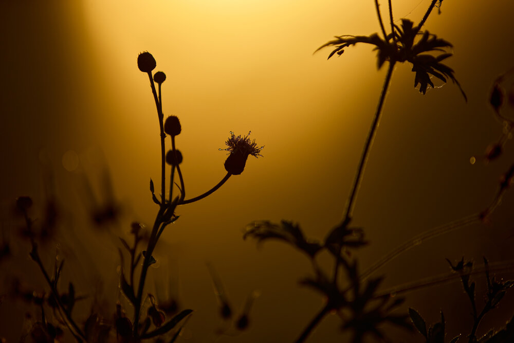 Photograph by Константин Федяев