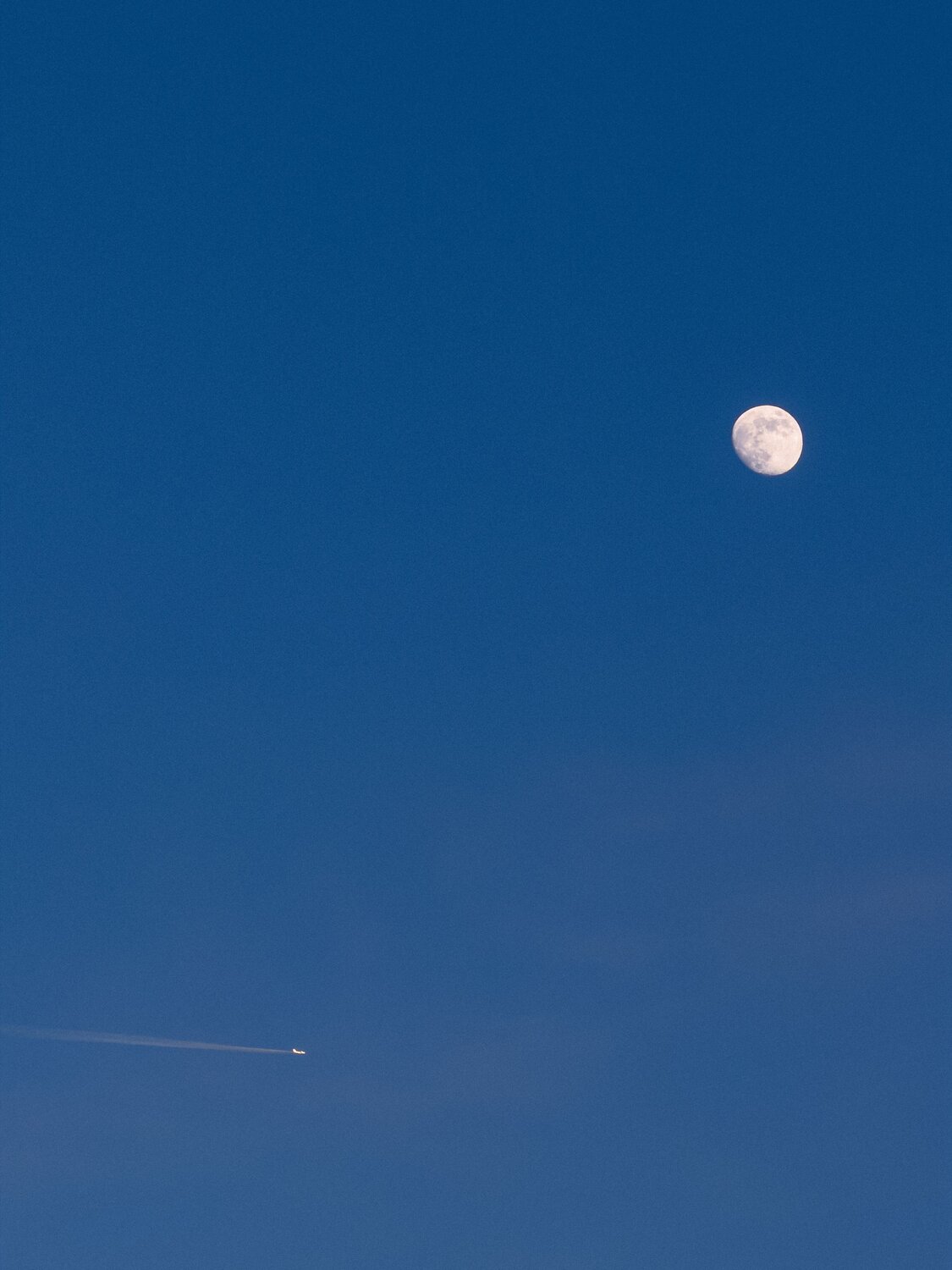 Photo #13835144