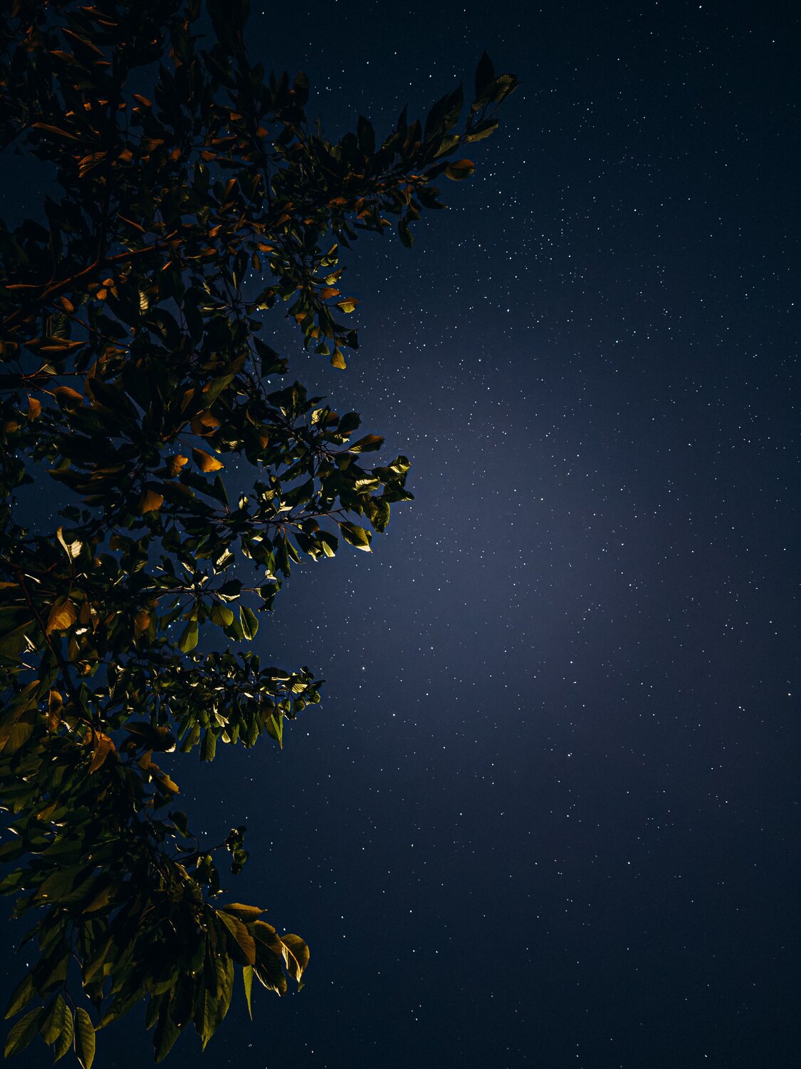 Photo #13835145