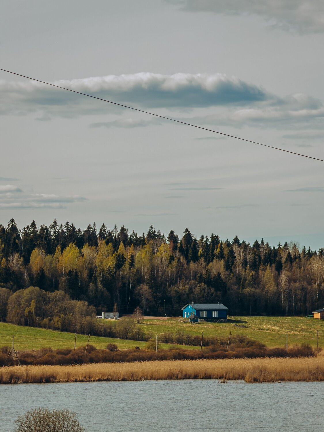 Photo #13835146