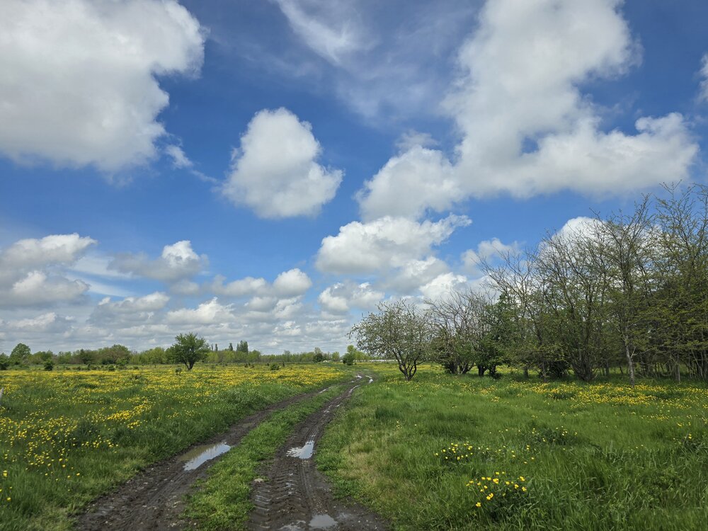 Photograph by Оксана Куриленко