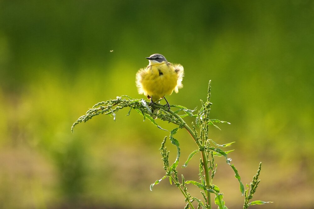 Photograph by Елена Викторовна