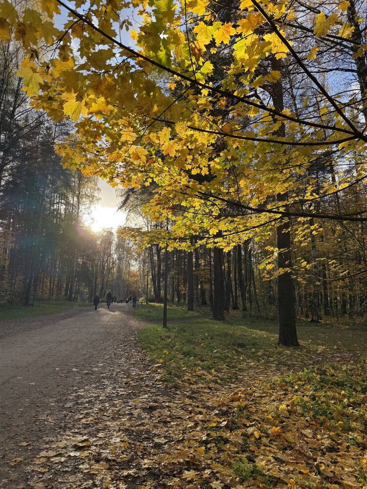 Photograph by Наталья Казачок