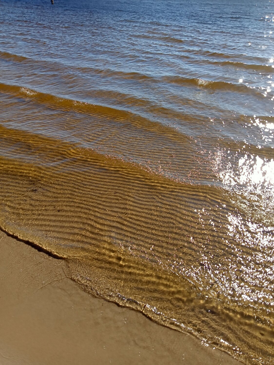 Photo #13835295