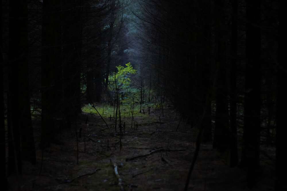 Photograph by Elena V