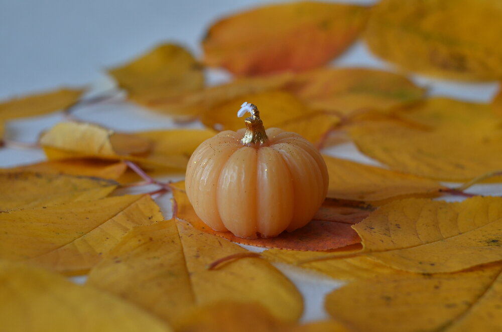 Photograph by Екатерина