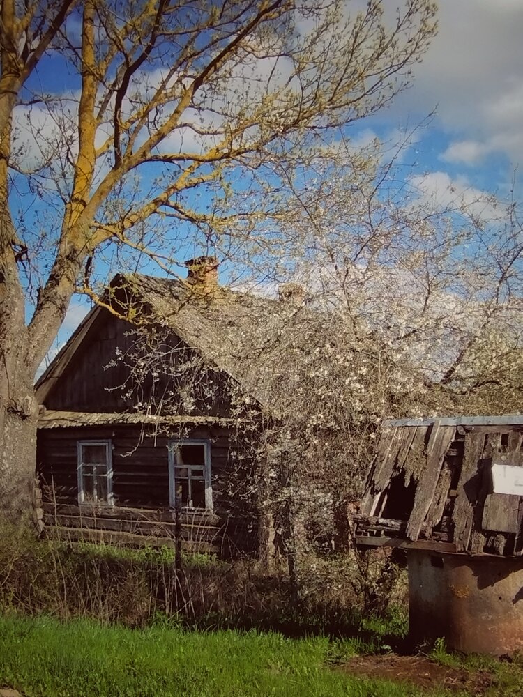 Photograph by Ия Дирко