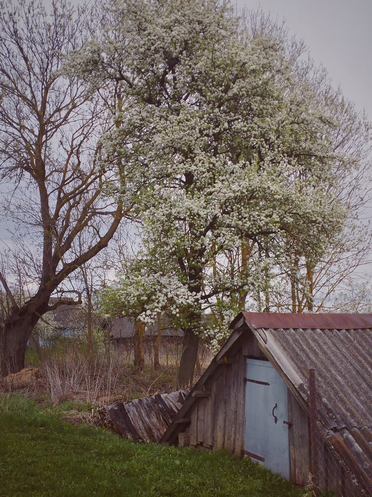 Photograph by Ия Дирко