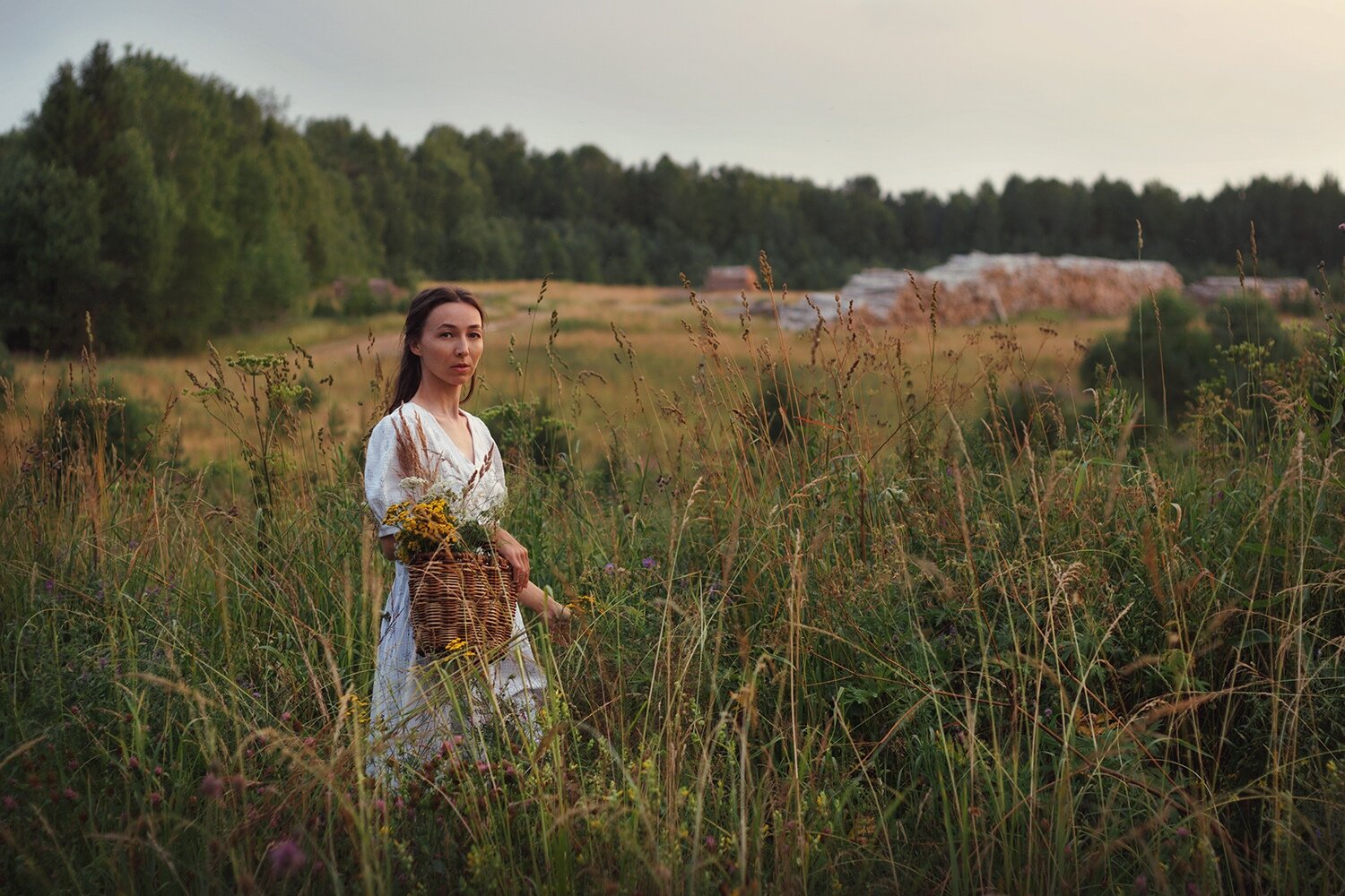 Photo #13835397