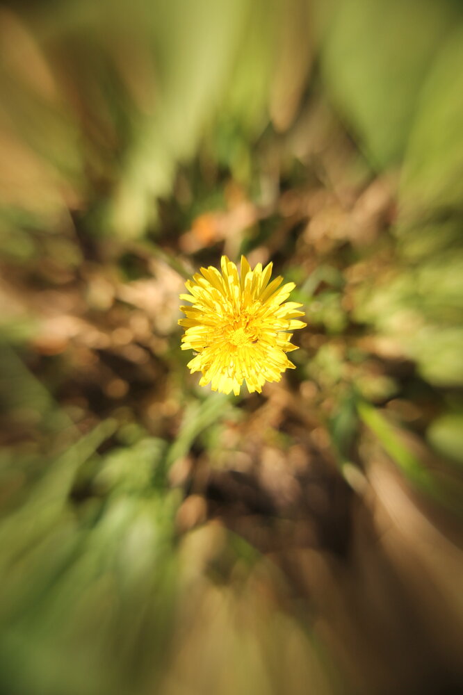 Photograph by Дмитрий Рыбалко