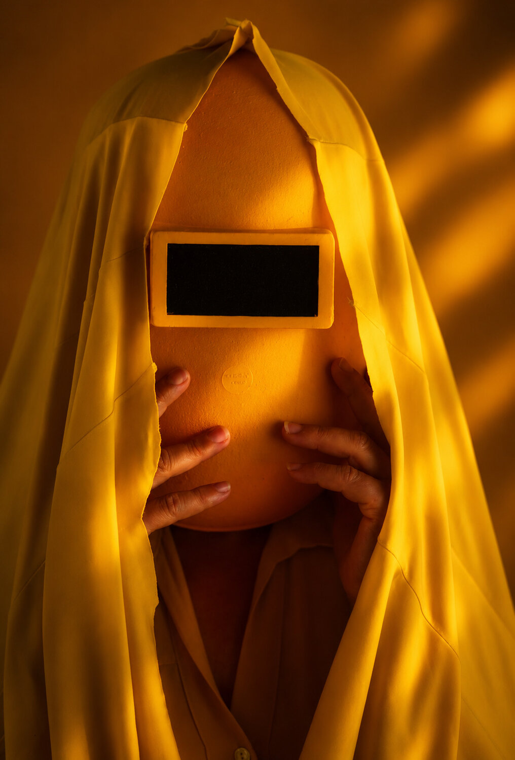 Photo #13835550