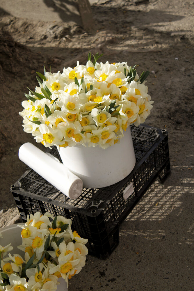 Photograph by Нина Чепрасова