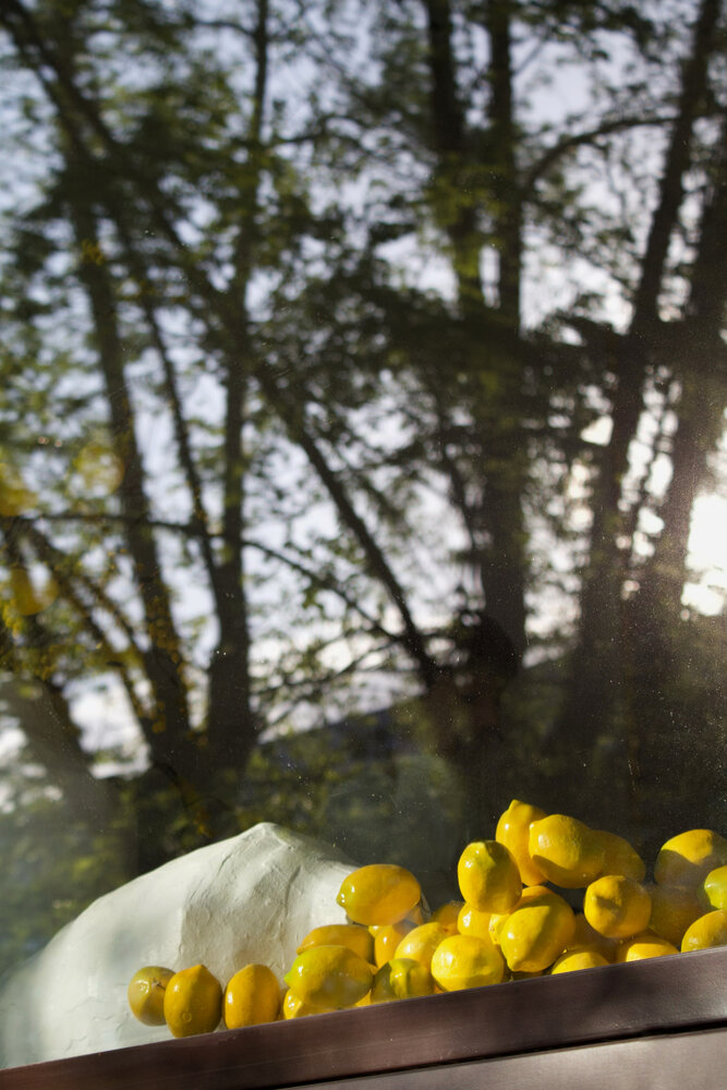 Photograph by Нина Чепрасова