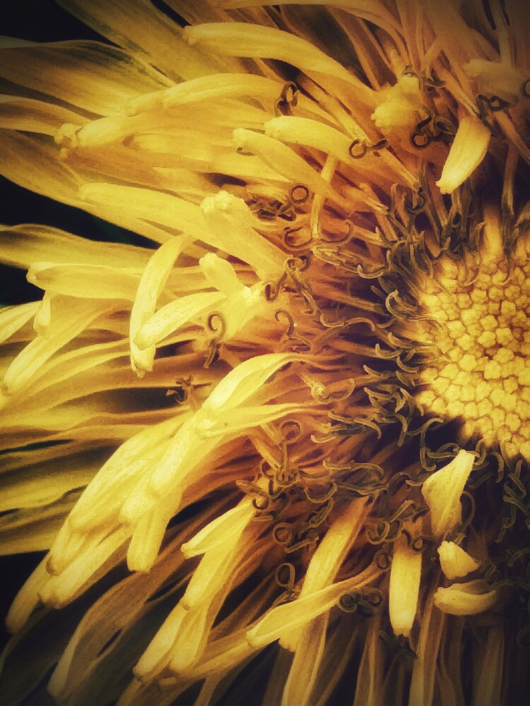 Photograph by Юлия Чернышёва
