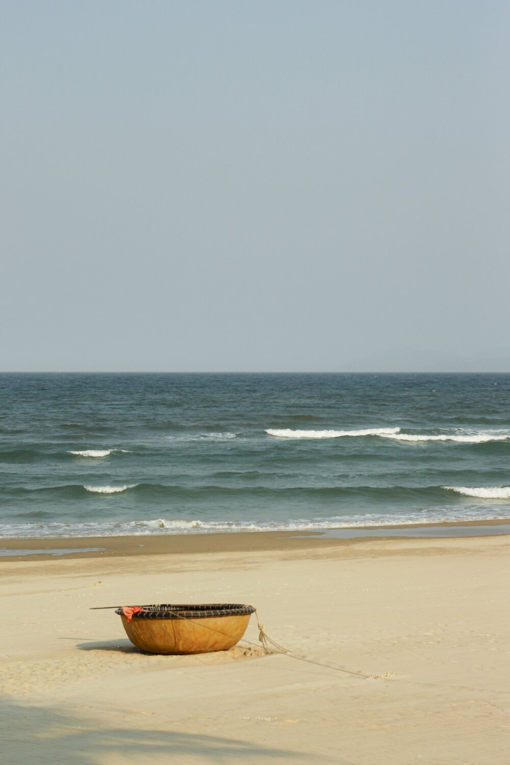 Photo #13835729