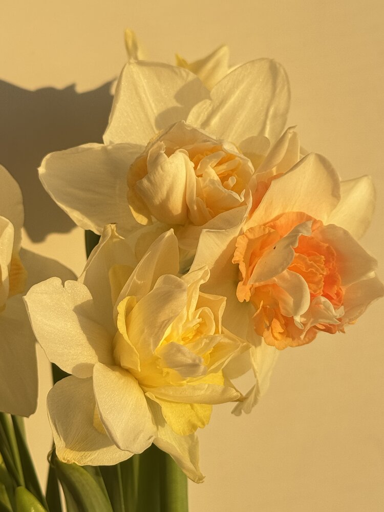 Photograph by Анастасия Самойленко