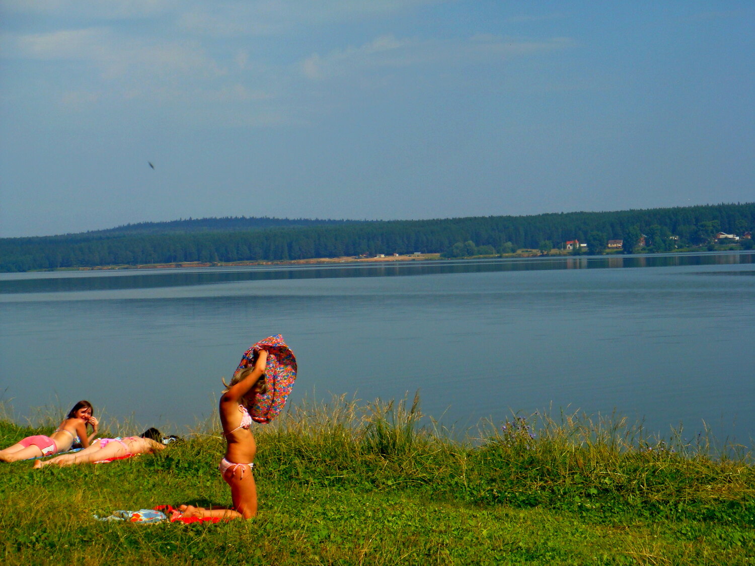 Photo #13835750