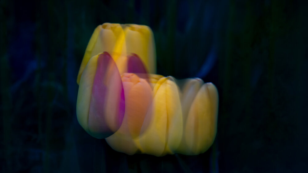 Photograph by Christabel Way