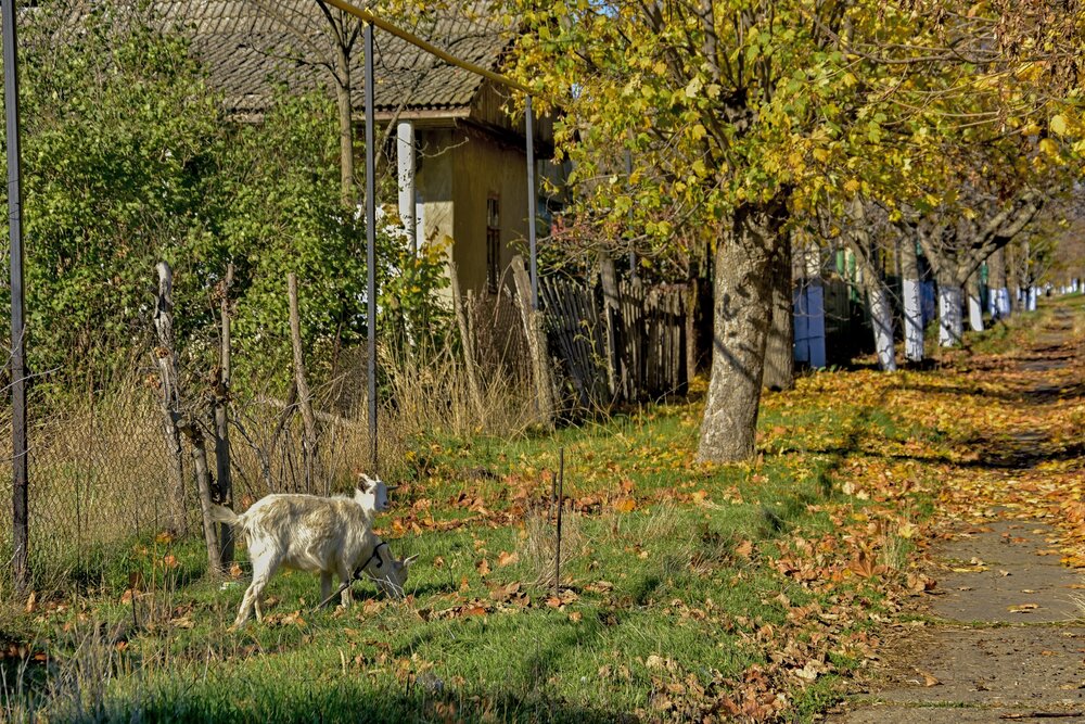 Photograph by Yuri Afanasyev