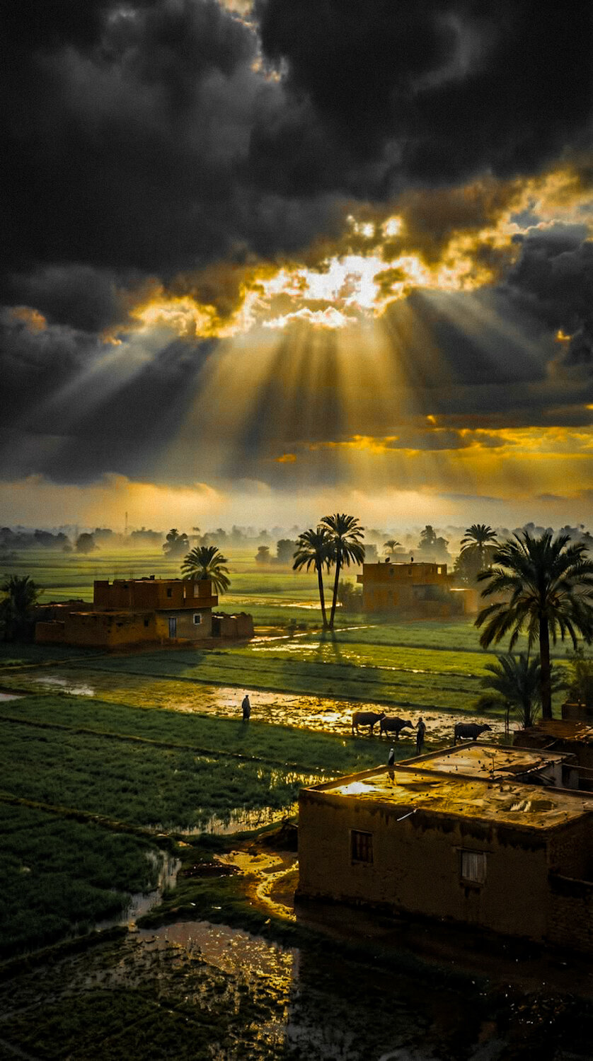 Rays Over the Village