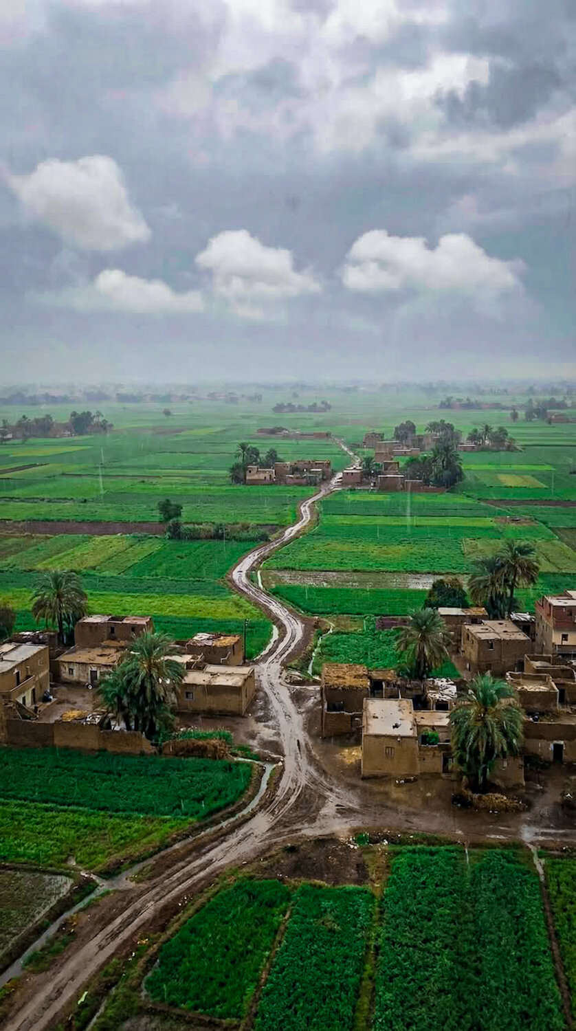 The Path Through the Fields
