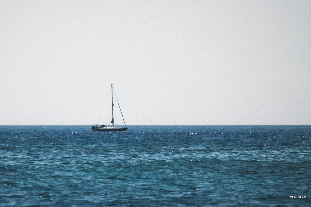 Photo #13835836