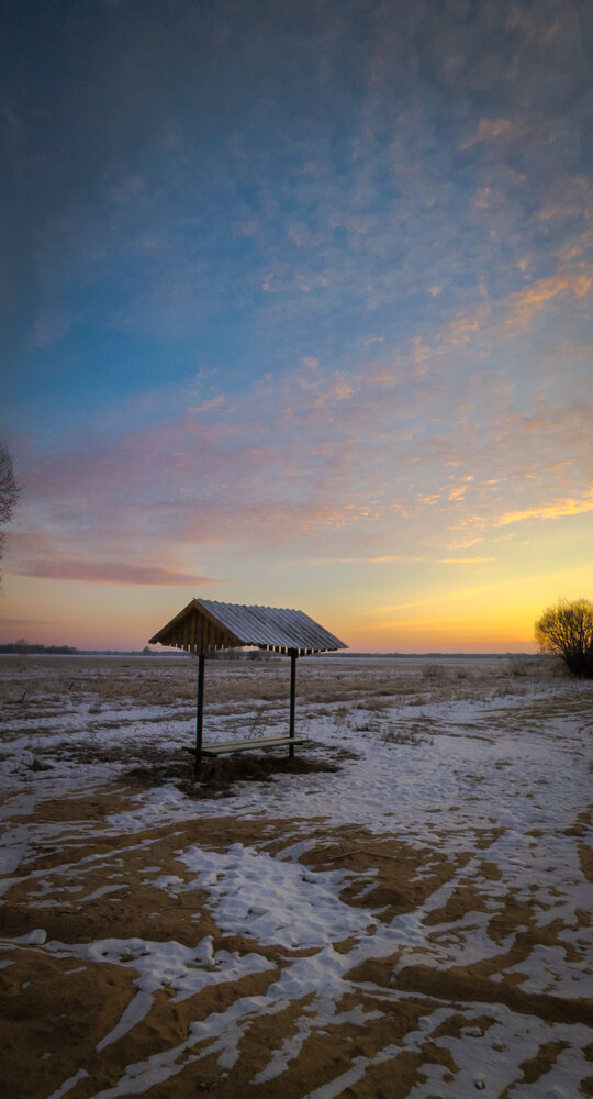 Photo #13835846