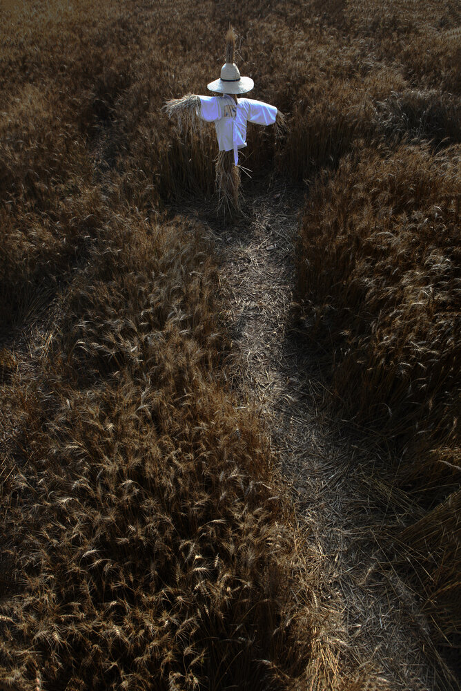 Photograph by soonsik kweon