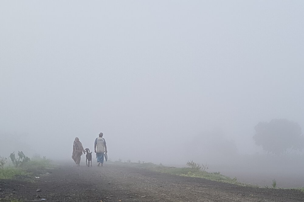 Photo #13835899