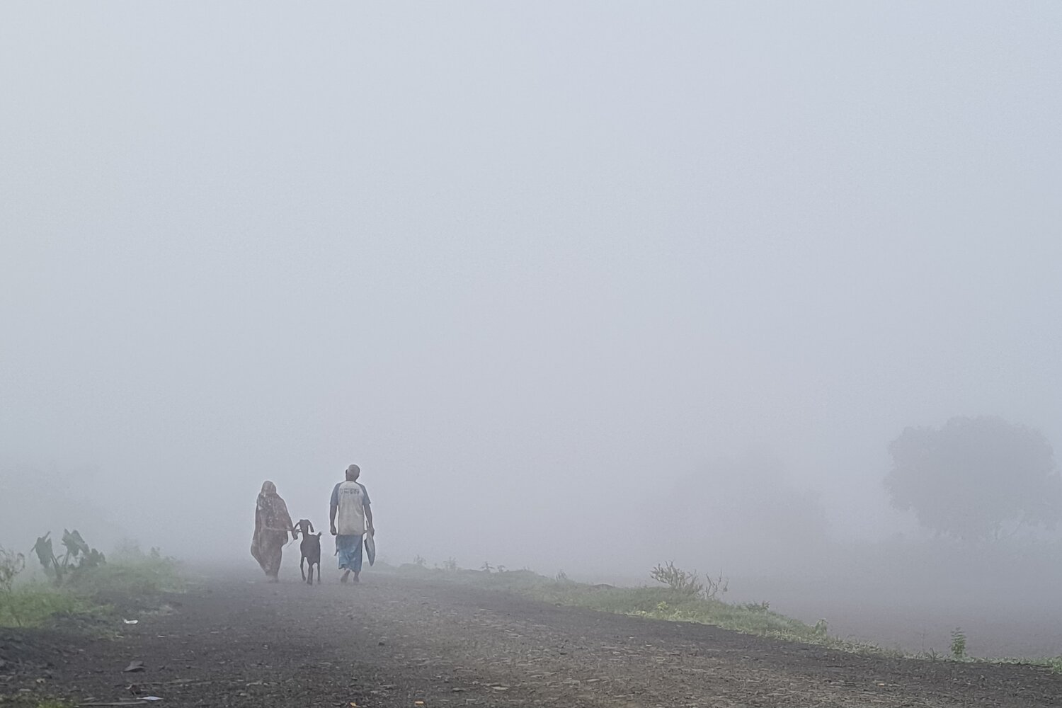 Photo #13835899
