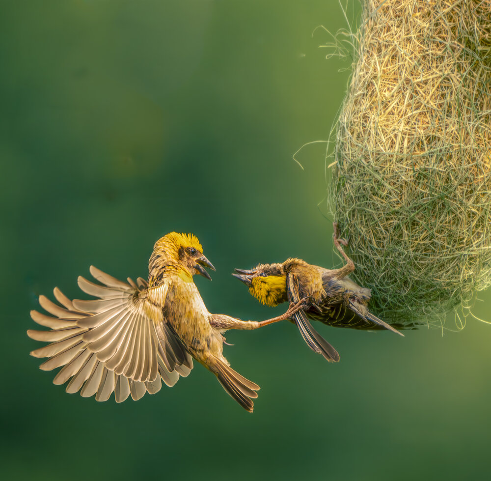 Photograph by akash banerjee