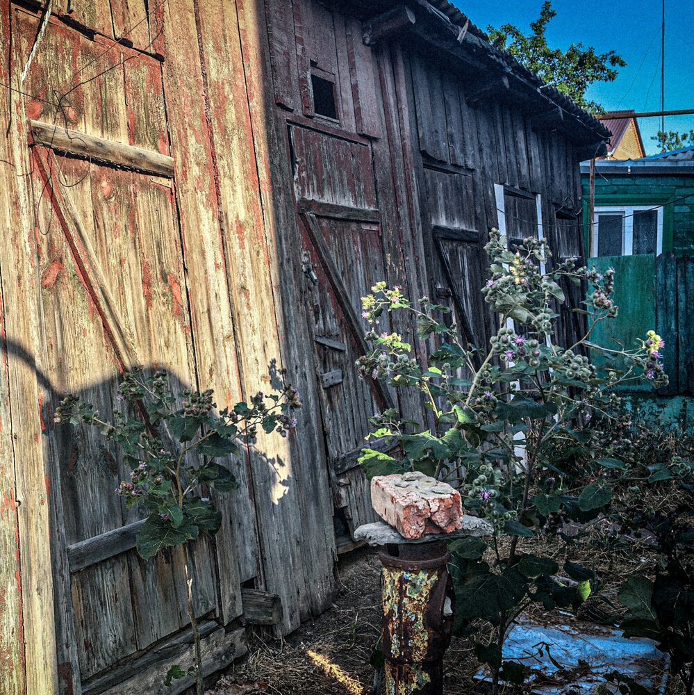 Photograph by Евгений Самарев