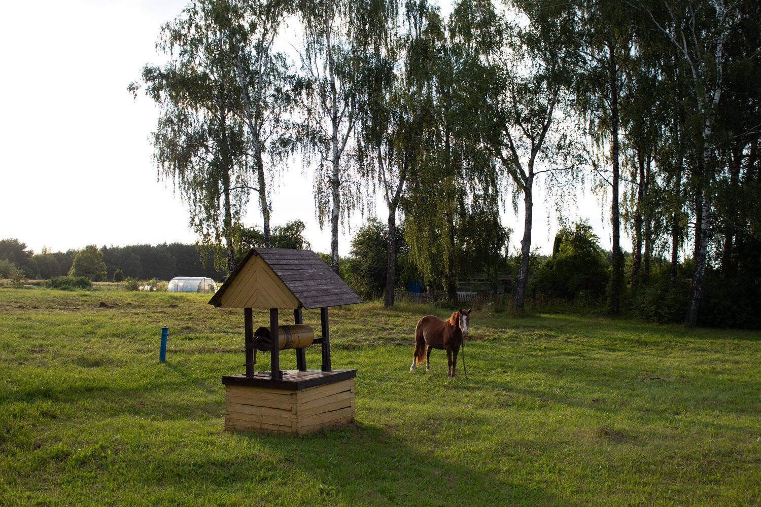 Photo #13836077