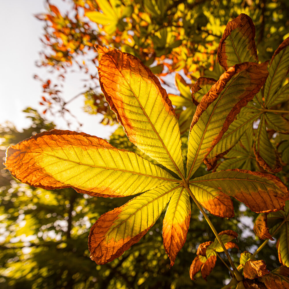 Photograph by Евгений Самарев