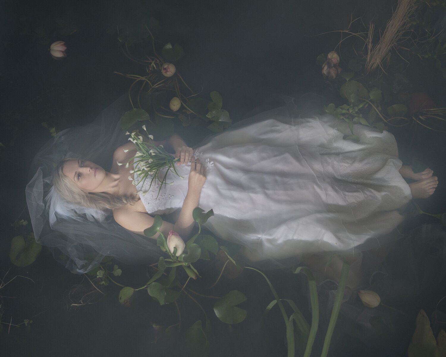 Photo #13836135