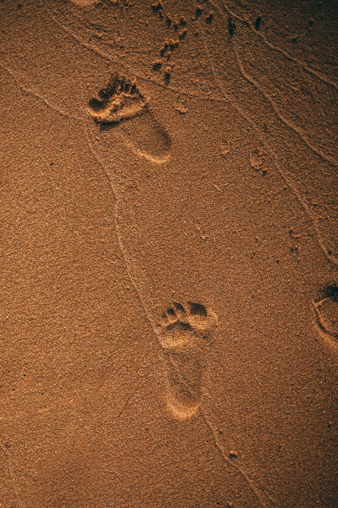 Photograph by Елена Копылова