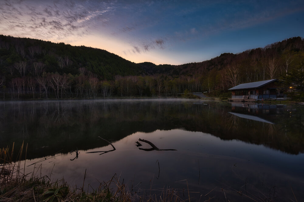 Photo #13836218