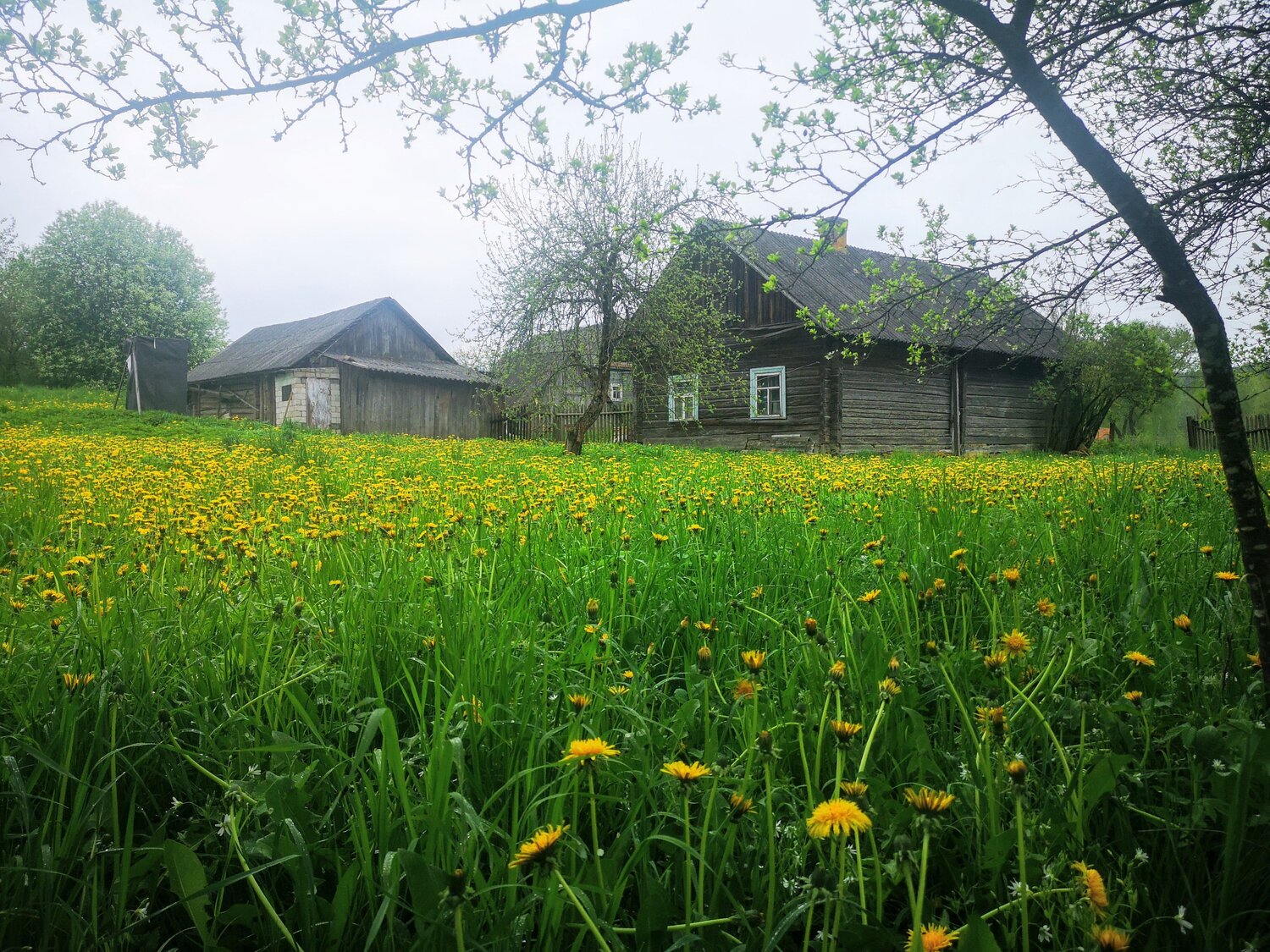 Photo #13836263