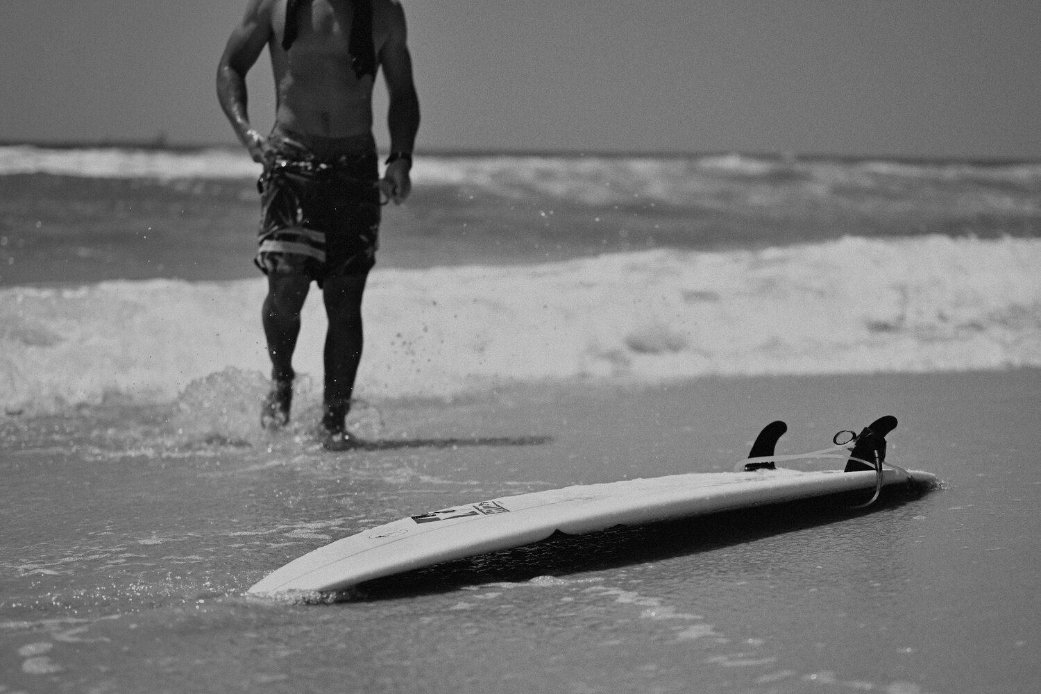 Photo #13836316