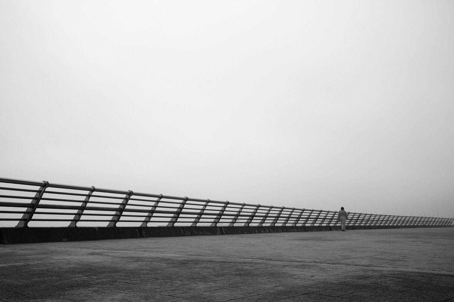 Photo #13836346