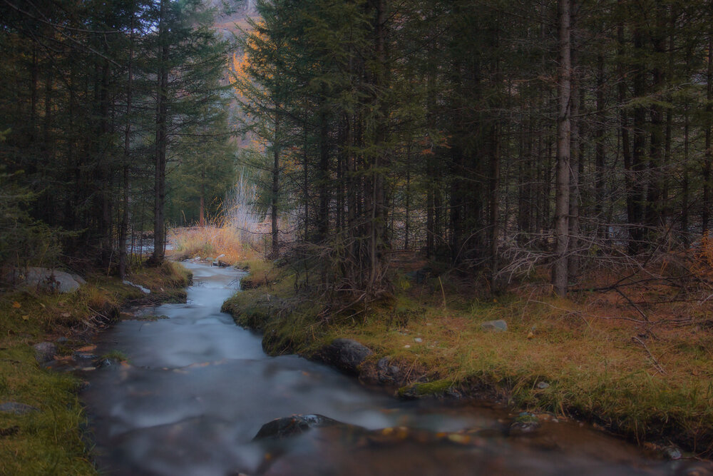 Photograph by Юдинских Марина