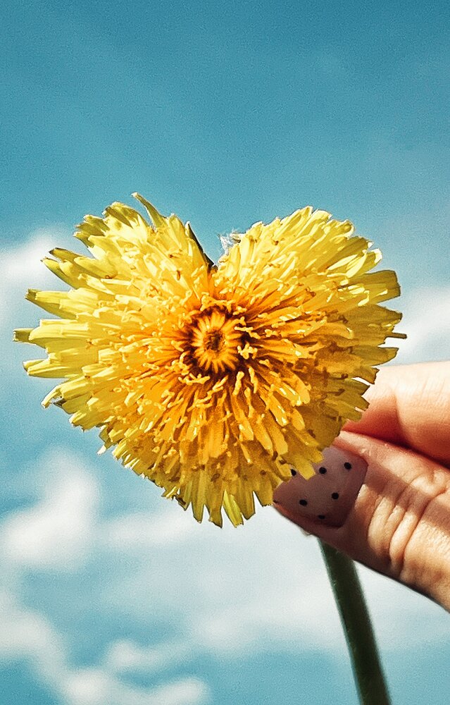 Photograph by Светлана Моисеева