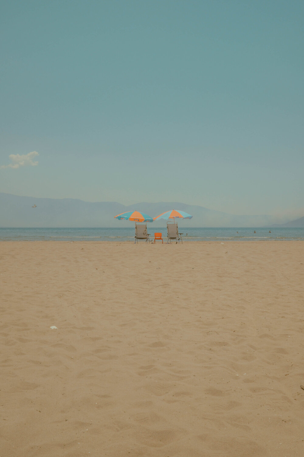 Photo #13836397