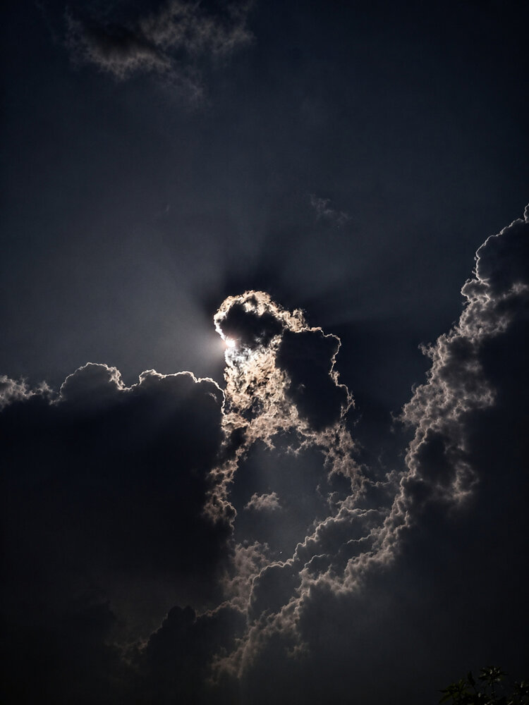 Photograph by Arindam Roy