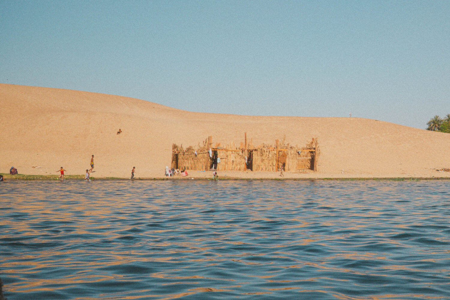 Photo #13836417