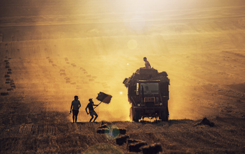 Photograph by Alexandru George